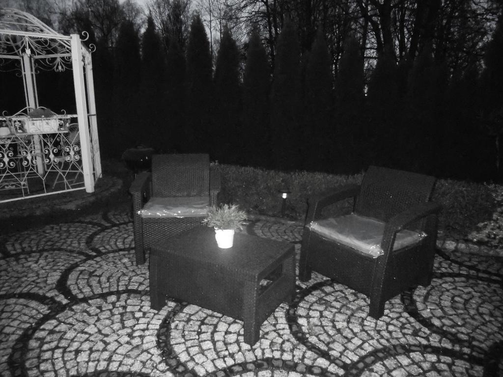 Mizerowka Guest House Kudowa-Zdrój Exteriör bild